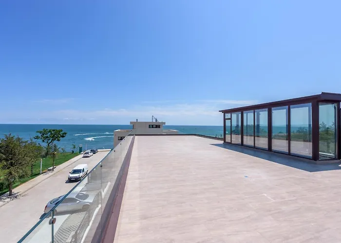 Time 招待所 奥林普