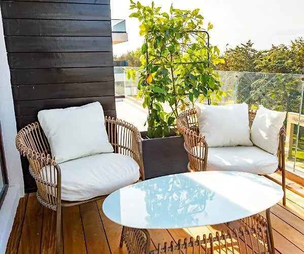 招待所 Time 奥林普