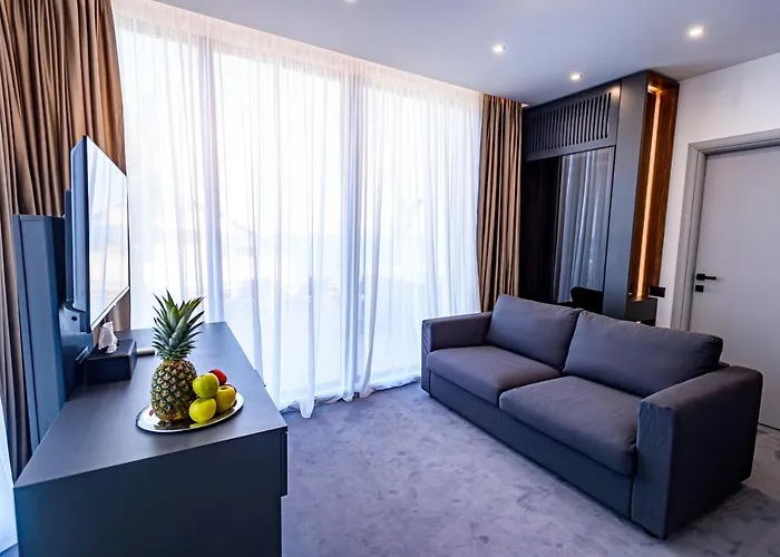 Time 招待所 奥林普